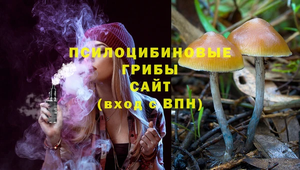 тгк Горно-Алтайск